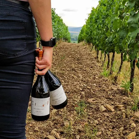 بيت ضيافة Orosz Gabor Vendeghaz Mád